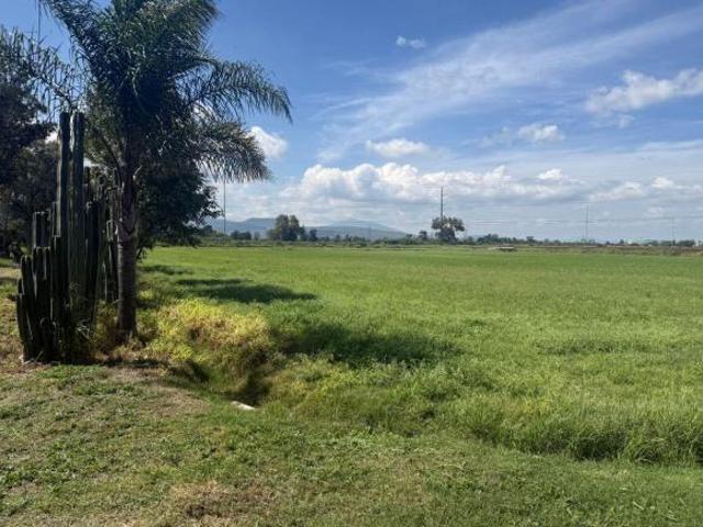 VENTA DE TERRENO AGRÍCOLA IDEAL PARA FRACCIONAMIENTO EN CELAYA