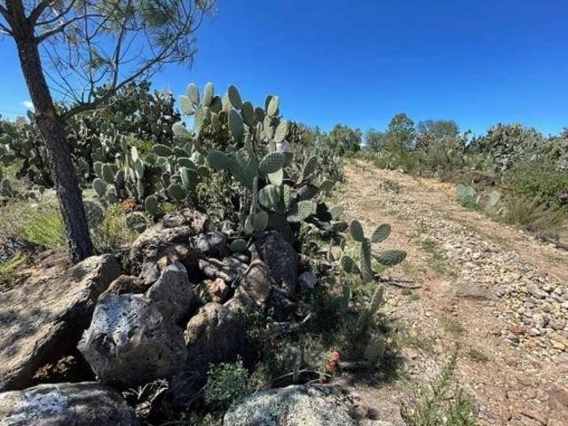 VENTA DE TERRENO AMPLIACIÓN AHUEHUETITLA