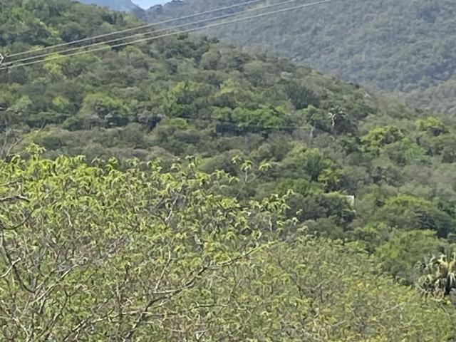 VENTA DE TERRENO CAMPESTRE CAMINOA LA LOBITA