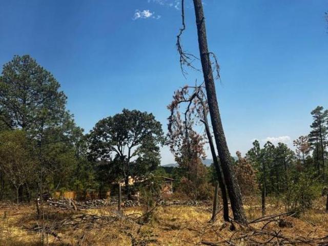 Venta de terreno Campestre en Tapalpa Jalisco con servicio de energía eléctrica