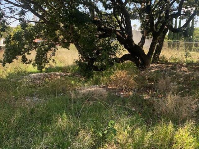Venta de terreno Cavalls 3