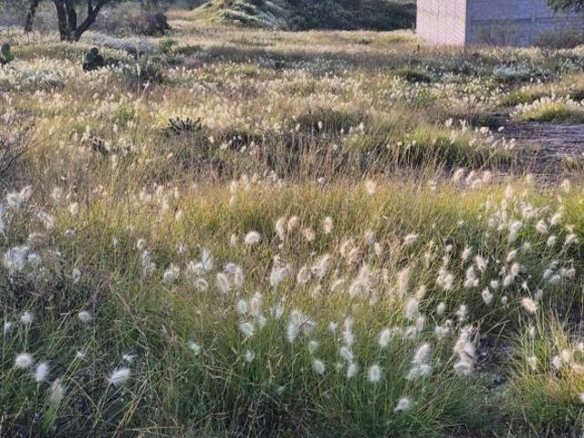 Venta de Terreno Comercial
