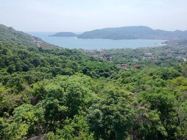 Venta de Terreno con Vista Panor?mica al Mar en La Ropa, Zihuatanejo