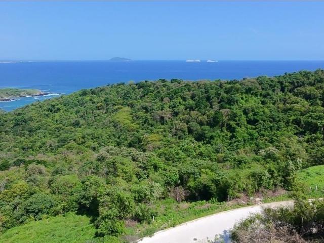 Venta de Terreno con Vista Panor?mica al Mar en La Ropa, Zihuatanejo