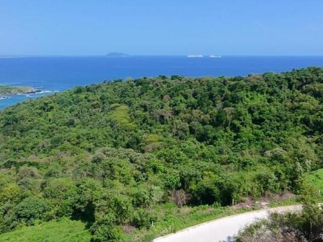 Venta de Terreno con Vista Panorámica al Mar en La Ropa, Zihuatanejo