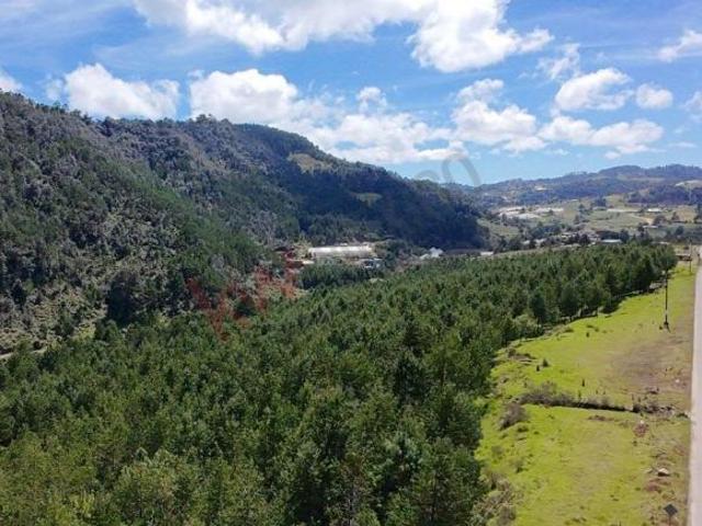 Venta de Terreno de 250,000 m² en Acaxochitlán