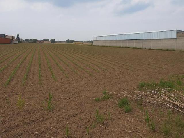 Venta de Terreno de 4450 m2