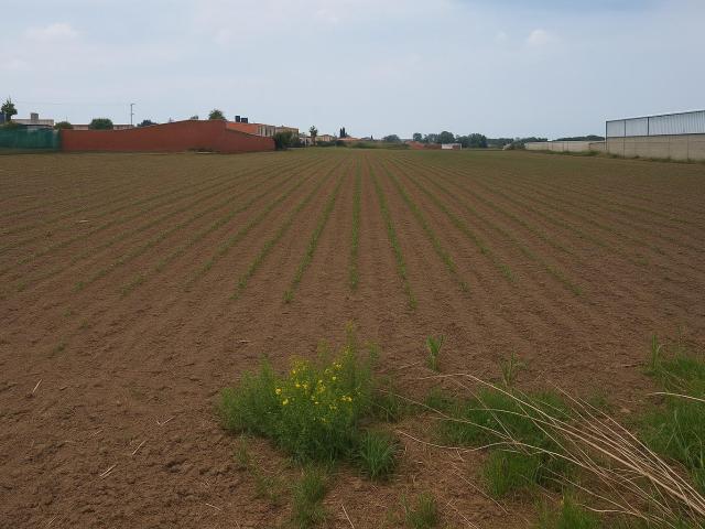 Venta de Terreno de 4450 m2