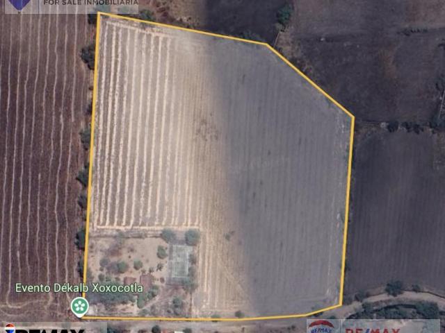Venta de terreno de 40,431m2, Anenehuilco, Xoxocotla, Morelos?Clave 5494