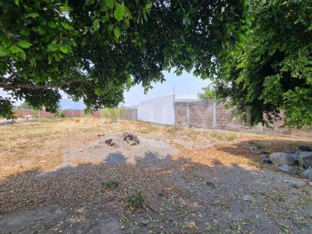 Venta de terreno de 500m2 en atlixco Colonia Juan Ulvera