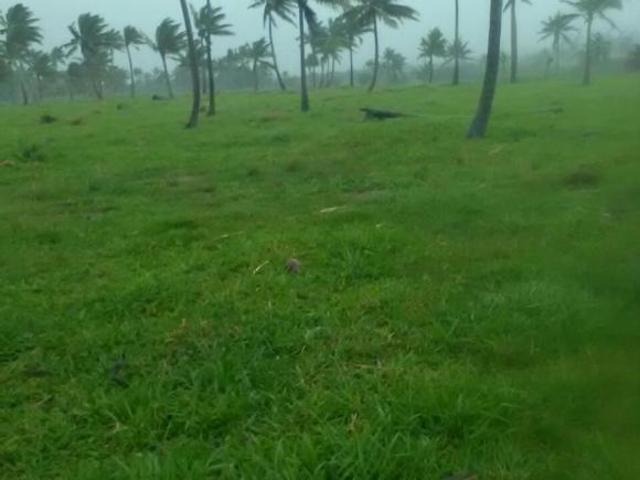 Venta de Terreno de 63 hectáreas en Ejido El Colorado, Coatzacoalcos, Veracruz