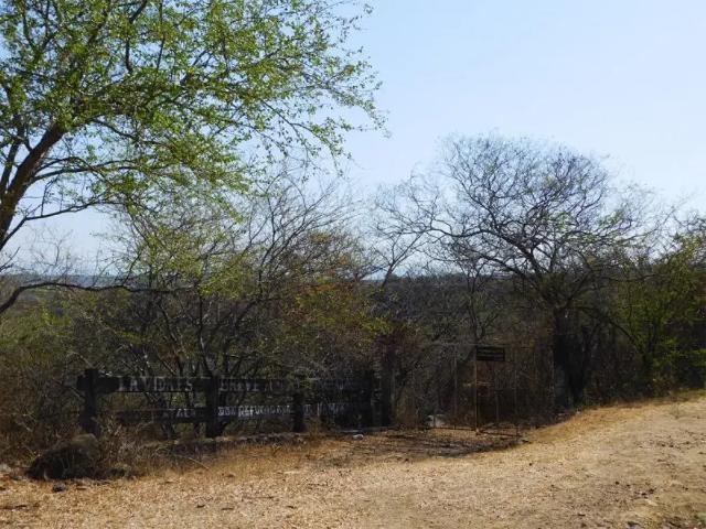 Venta de terreno ejidal de 15 hectáreas, con opción a 30, por el mismo precio