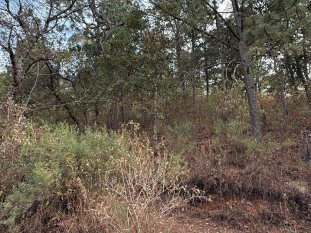 Venta de Terreno en Mazamitla, Jalisco