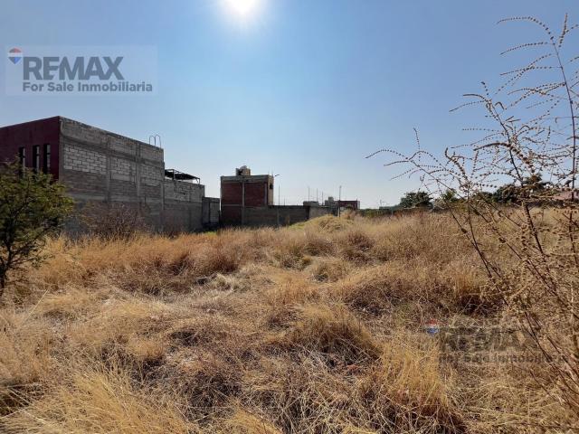 Venta de terreno en Oaxtepec, Yautepec, Morelos?Clave 6037