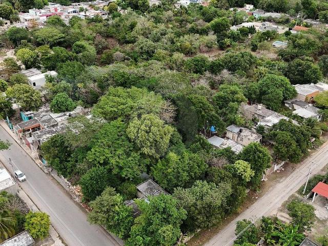Venta de Terreno en Acac?, Ticop? para Inversi?n