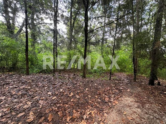 Venta de terreno en Alcanfores