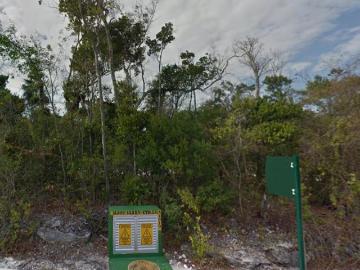 Bosque Real, Playa del Carmen, Solidaridad Quintana Roo, Quintana Roo