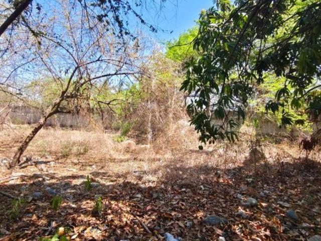 VENTA DE TERRENO EN BARRIO VIEJO