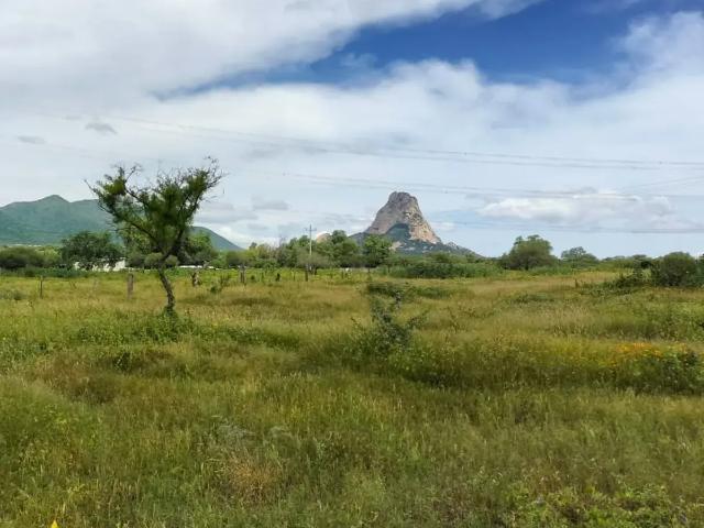 VENTA DE TERRENO EN BERNAL, QRO. VT53