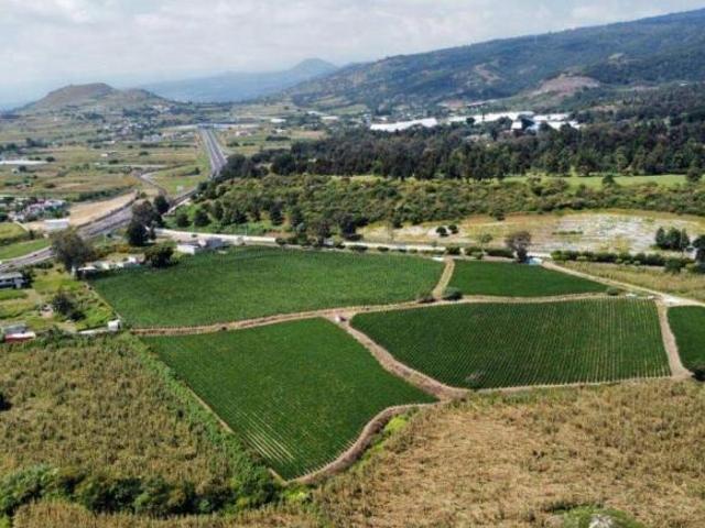 VENTA DE TERRENO EN CUAUTLA MORELOS