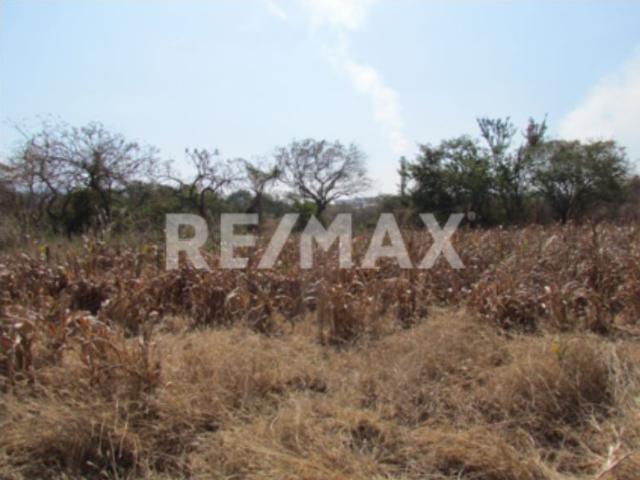 Venta de terreno en Cuautla Morelos. Oportunidad de Inversión ideal para fraccionar