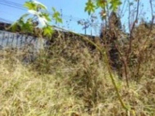 VENTA DE TERRENO EN CUERNAVACA MORELOS COLONIA MARAVILLAS