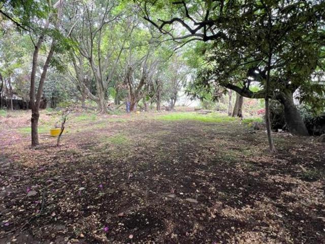 VENTA DE TERRENO EN CUERNAVACA MORELOS EN PASEO DEL CONQUISTADOR