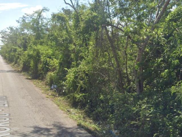 VENTA DE TERRENO EN CACALCHEN, YUCAT?N