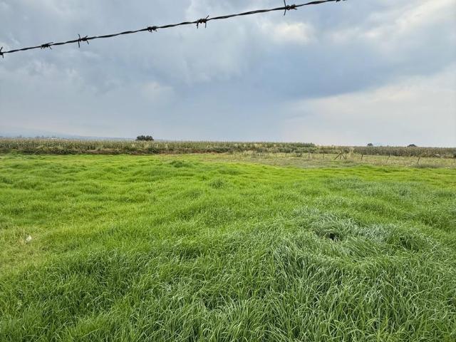VENTA DE TERRENO EN CALIMAYA SOBRE AVENIDA CAMINO A MEXICALTZINGO