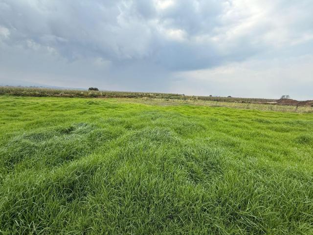 VENTA DE TERRENO EN CALIMAYA SOBRE AVENIDA CAMINO A MEXICALTZINGO