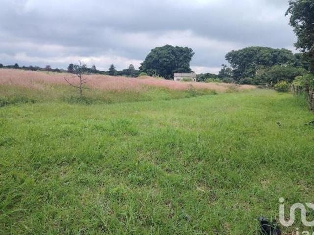 Venta de Terreno en carretera Yecapixtla Ocuituco, Morelos