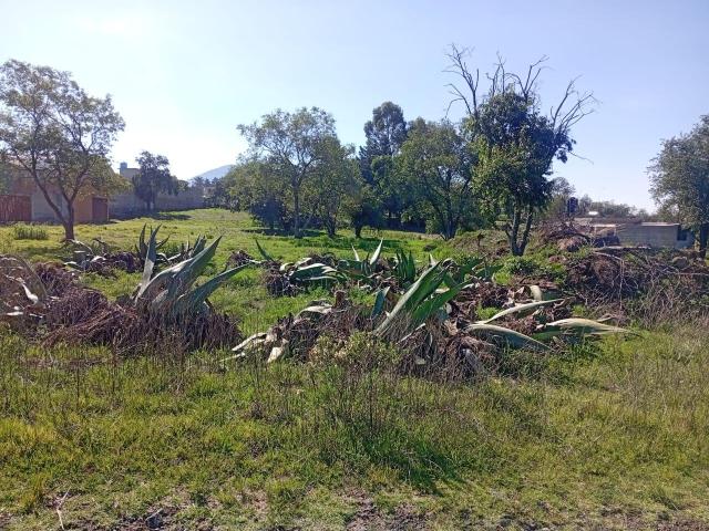 VENTA DE TERRENO EN CARRETERA ATLACOMULCO SAN LORENZO. TAMBI?N PUEDE SER EN LOTES