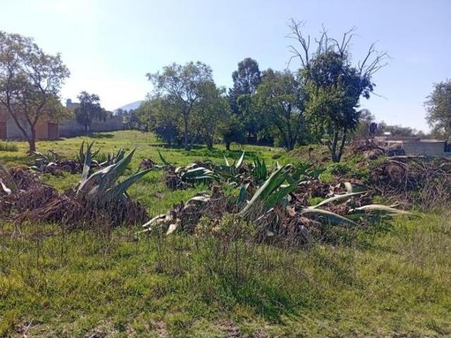 VENTA DE TERRENO EN CARRETERA ATLACOMULCO SAN LORENZO. TAMBIÉN PUEDE SER EN LOTES