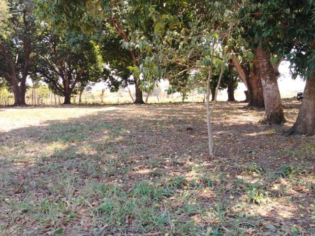 Venta de Terreno en Colonia Insurgentes por Reclusorio en Tuxtepec Oaxaca