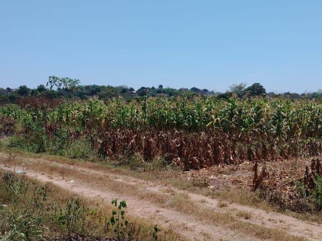 Venta de Terreno en Colonia Insurgentes por Reclusorio en Tuxtepec Oaxaca