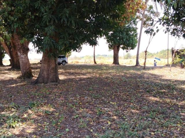 Venta de Terreno en Colonia Insurgentes por Reclusorio en Tuxtepec Oaxaca