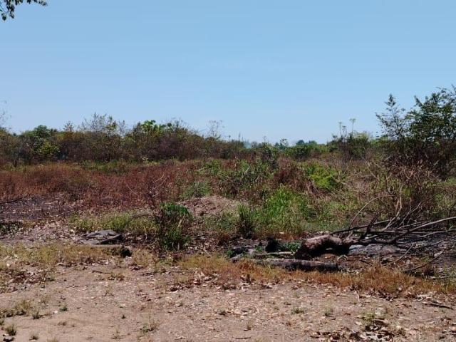 Venta de Terreno en Colonia Insurgentes por Reclusorio en Tuxtepec Oaxaca