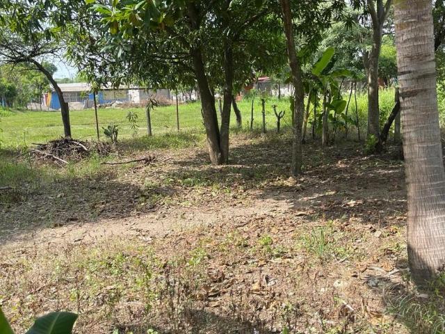 Venta de Terreno en Colonia la Moderna en Tuxtepec Oaxaca