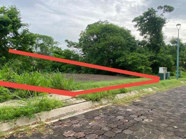 VENTA DE TERRENO EN COLINA LOS PERICOS IXTAPA ZIHUATANEJO