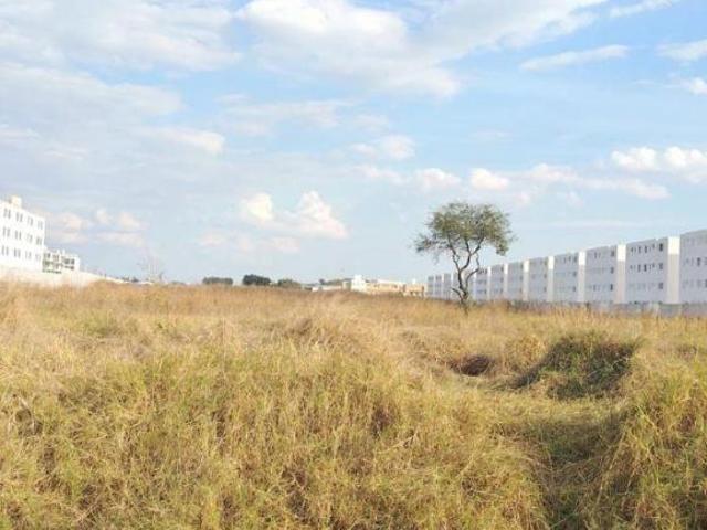 VENTA DE TERRENO EN CONCEPCIÓN DEL VALLE