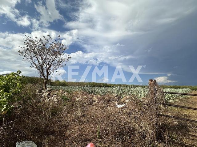 VENTA DE TERRENO EN DZEMUL