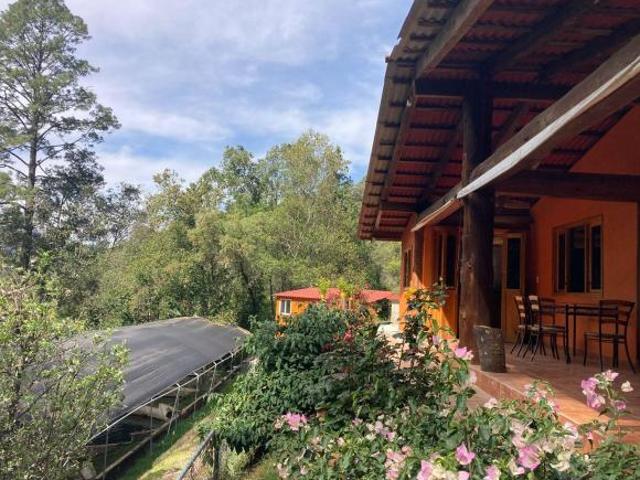 VENTA DE TERRENO EN DONATO GUERRA