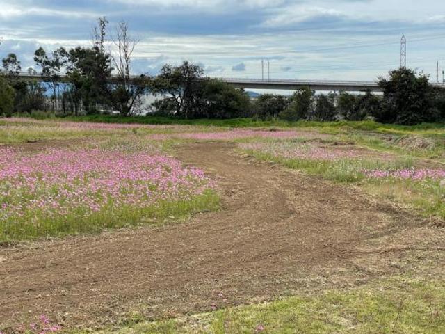 Venta de Terreno en excelente ubicación a unos metros del Club De Golf Los Encinos