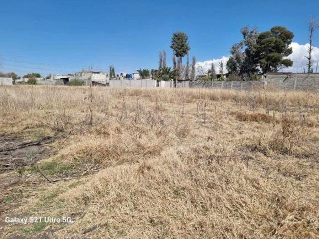 VENTA DE TERRENO EN EJIDO LA MAGDALENA PANOAYA, TEXCOCO