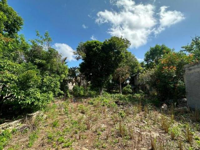 Venta de Terreno en el Centro de Valladolid, frente al Cenote Zaci