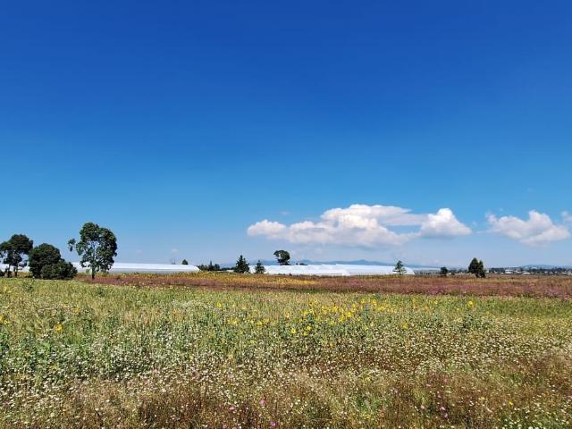 VENTA DE TERRENO EN ENCINILLOS, ACATL?N