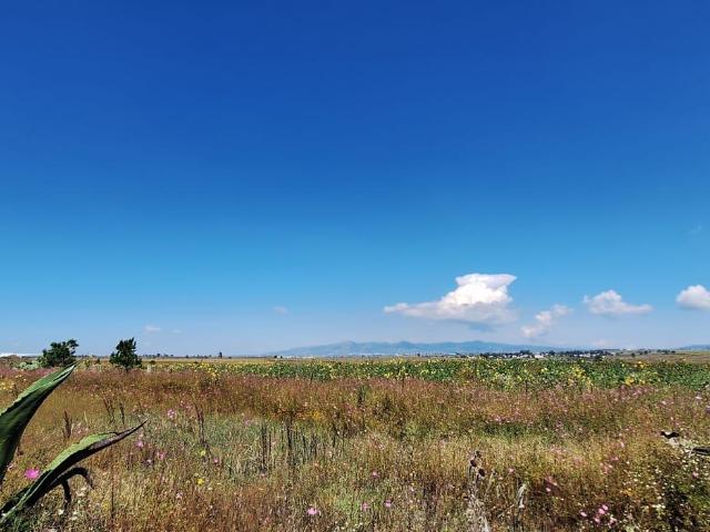 VENTA DE TERRENO EN ENCINILLOS, ACATL?N