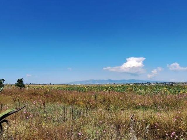 VENTA DE TERRENO EN ENCINILLOS, ACATLÁN