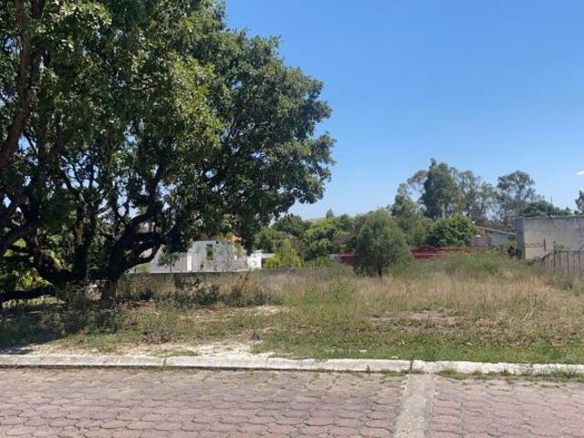 Venta de terreno en Farasi Haras