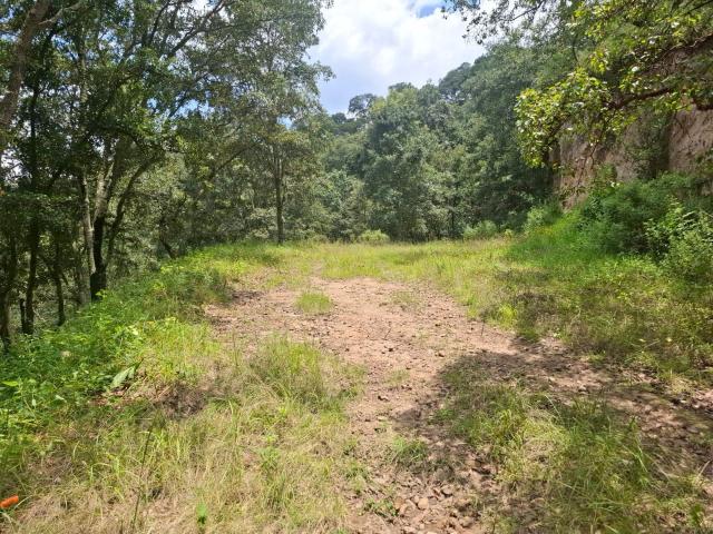 Venta de Terreno en Fracc. Campestre lt. 57,MZ 6, Villa del Carb?n